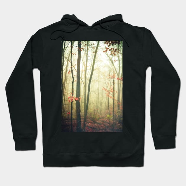 The Woods Are Lovely Dark and Deep Hoodie by oliviastclaire